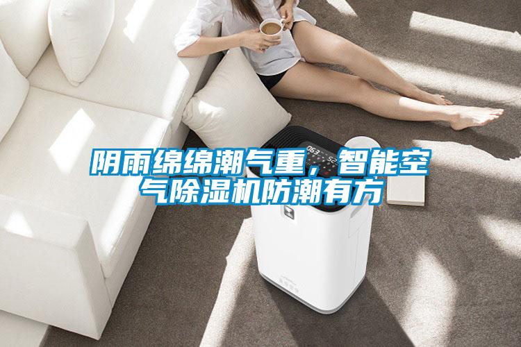 陰雨綿綿潮氣重，智能空氣除濕機防潮有方