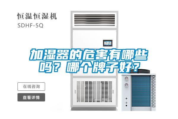 加濕器的危害有哪些嗎？哪個牌子好？