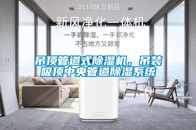 吊頂管道式除濕機(jī)，吊裝吸頂中央管道除濕系統(tǒng)