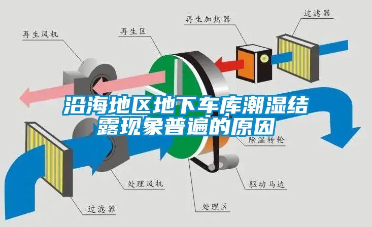 沿海地區(qū)地下車庫潮濕結露現象普遍的原因