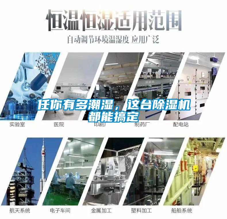任你有多潮濕，這臺除濕機都能搞定