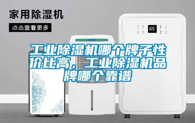 工業(yè)除濕機(jī)哪個牌子性價比高，工業(yè)除濕機(jī)品牌哪個靠譜