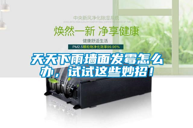 天天下雨墻面發霉怎么辦，試試這些妙招！