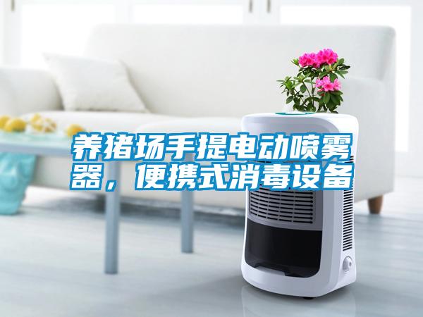 養(yǎng)豬場(chǎng)手提電動(dòng)噴霧器，便攜式消毒設(shè)備