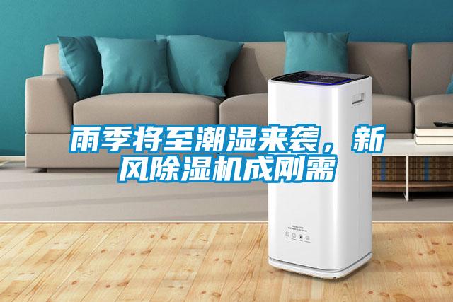雨季將至潮濕來襲，新風除濕機成剛需
