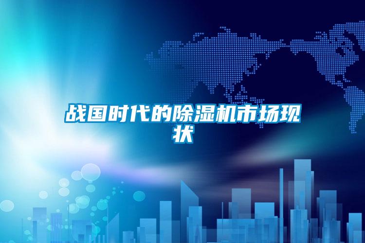 戰(zhàn)國時代的除濕機(jī)市場現(xiàn)狀
