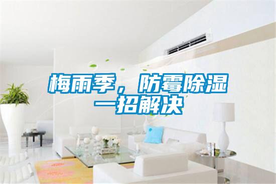 梅雨季，防霉除濕一招解決