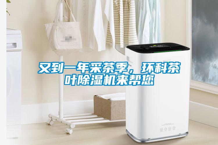 又到一年采茶季，環(huán)科茶葉除濕機(jī)來(lái)幫您