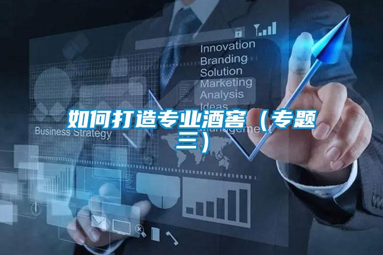 如何打造專(zhuān)業(yè)酒窖（專(zhuān)題三）