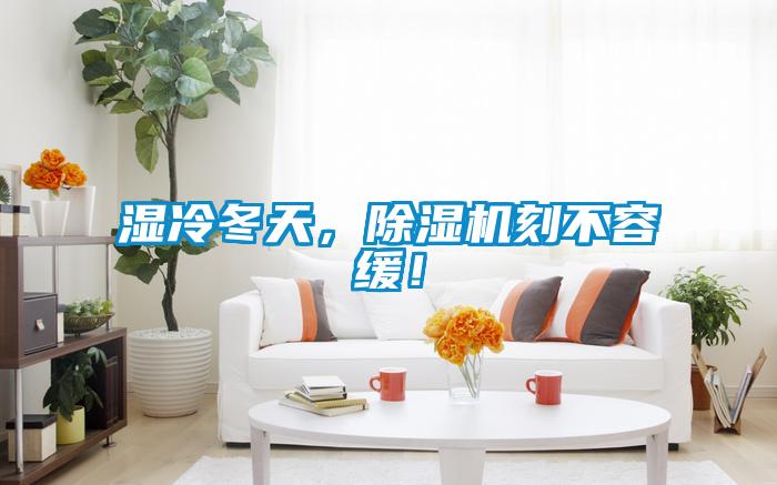 濕冷冬天，除濕機刻不容緩！