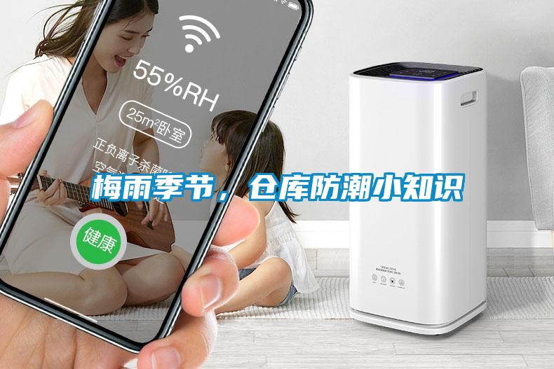 梅雨季節，倉庫防潮小知識