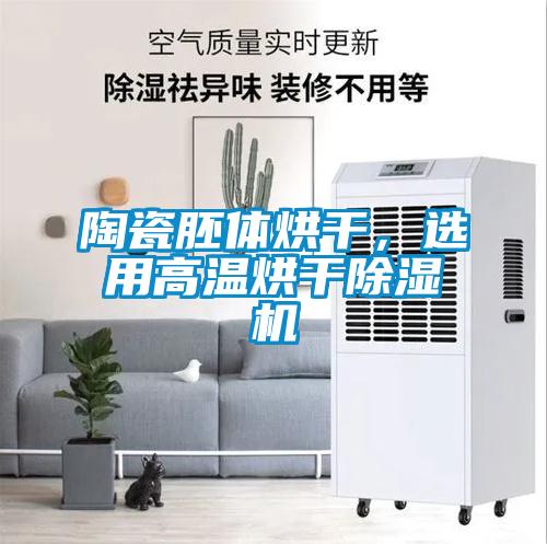 陶瓷胚體烘干，選用高溫烘干除濕機(jī)