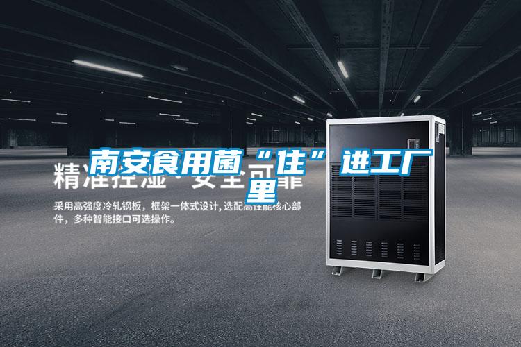 南安食用菌“住”進(jìn)工廠(chǎng)里