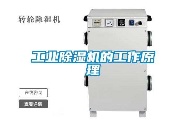 工業(yè)除濕機的工作原理