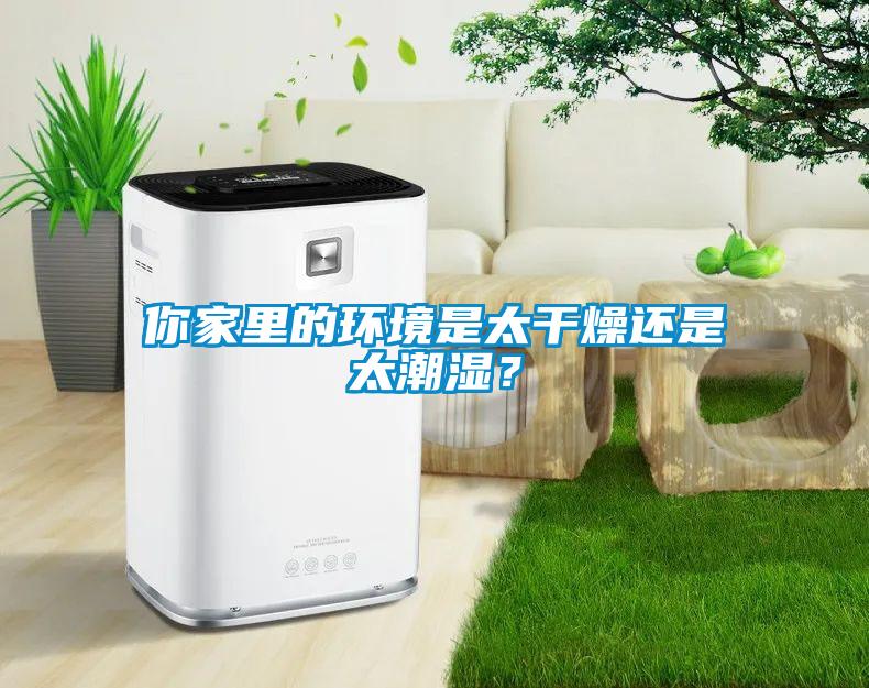 你家里的環(huán)境是太干燥還是太潮濕？