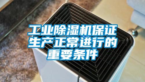工業(yè)除濕機保證生產正常進行的重要條件