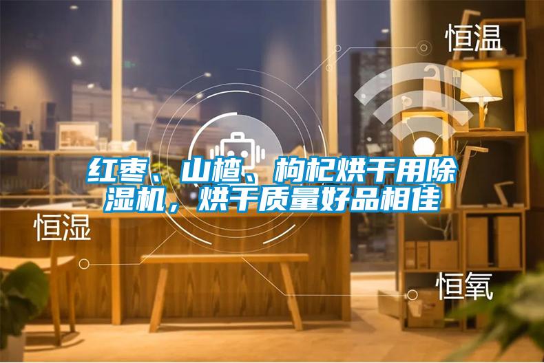 紅棗、山楂、枸杞烘干用除濕機，烘干質(zhì)量好品相佳