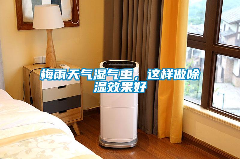 梅雨天氣濕氣重，這樣做除濕效果好