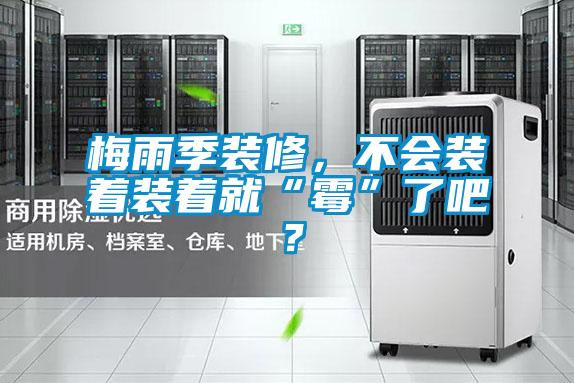 梅雨季裝修，不會裝著裝著就“霉”了吧？