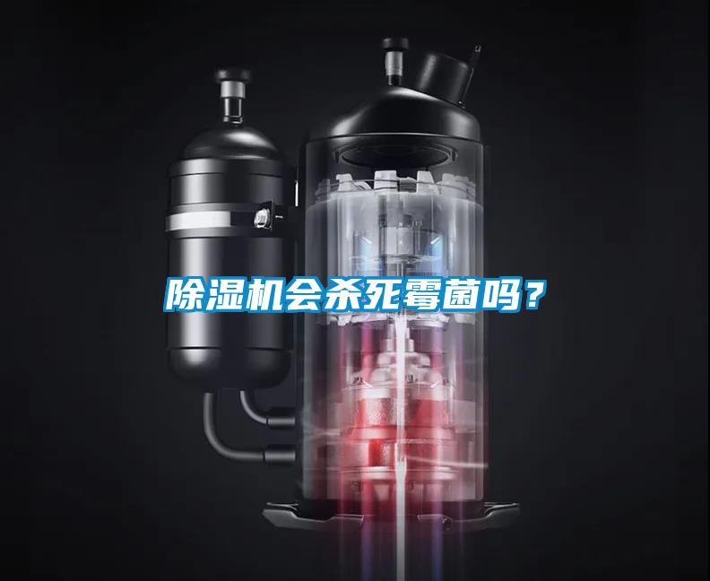 除濕機(jī)會(huì)殺死霉菌嗎？