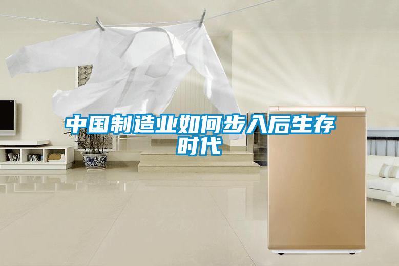 中國制造業(yè)如何步入后生存時代