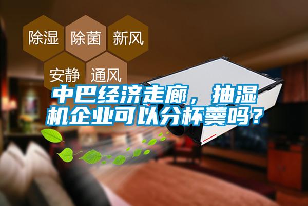 中巴經(jīng)濟(jì)走廊，抽濕機(jī)企業(yè)可以分杯羹嗎？