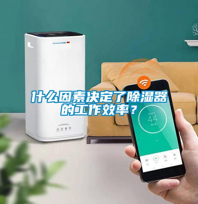 什么因素決定了除濕器的工作效率？