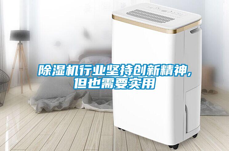 除濕機(jī)行業(yè)堅持創(chuàng)新精神,但也需要實用