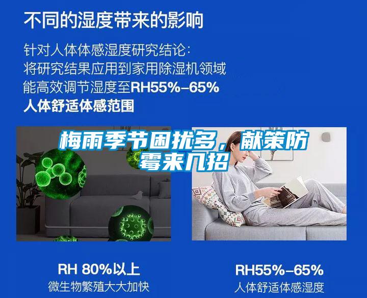 梅雨季節困擾多，獻策防霉來幾招