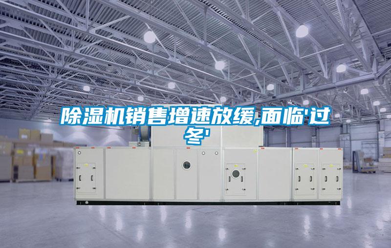 除濕機(jī)銷售增速放緩,面臨'過(guò)冬'
