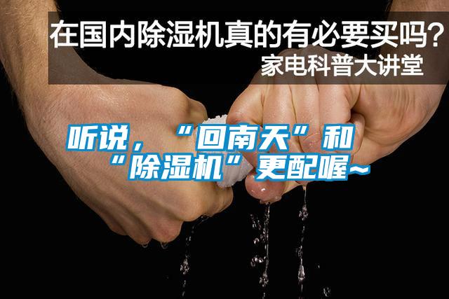 聽說，“回南天”和“除濕機”更配喔~