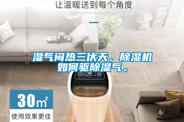 濕氣悶熱三伏天，除濕機如何驅(qū)除濕氣。