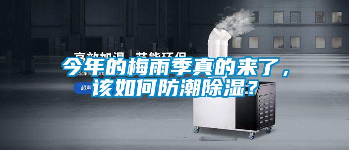 今年的梅雨季真的來(lái)了，該如何防潮除濕？
