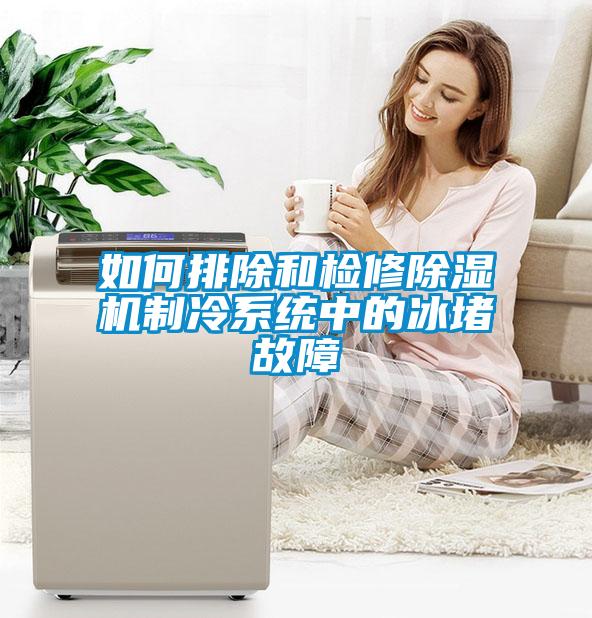 如何排除和檢修除濕機制冷系統中的冰堵故障