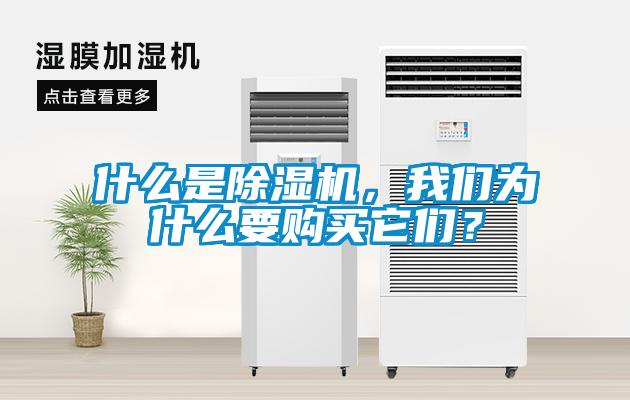 什么是除濕機，我們為什么要購買它們？