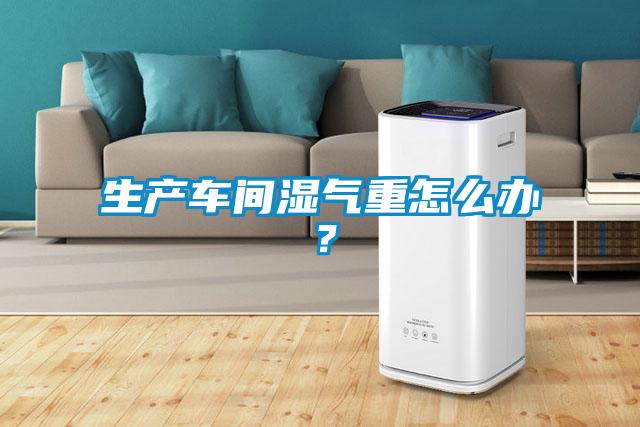 生產車間濕氣重怎么辦？