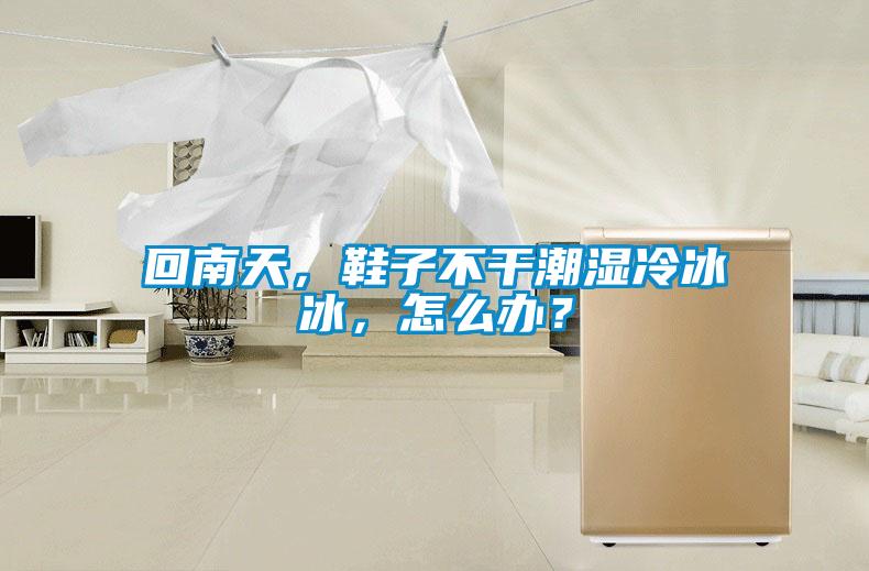 回南天，鞋子不干潮濕冷冰冰，怎么辦？