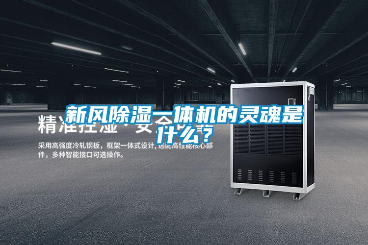 新風(fēng)除濕一體機(jī)的靈魂是什么？