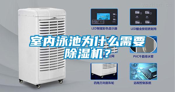 室內泳池為什么需要除濕機？