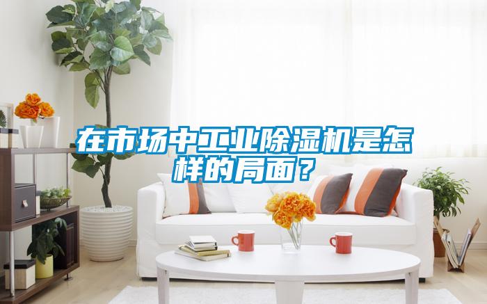 在市場中工業除濕機是怎樣的局面？