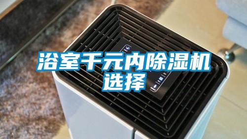 浴室千元內除濕機選擇