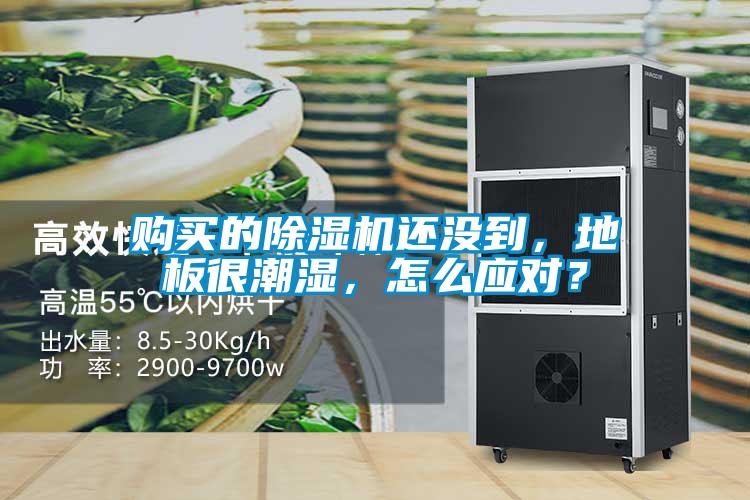 購買的除濕機還沒到，地板很潮濕，怎么應對？