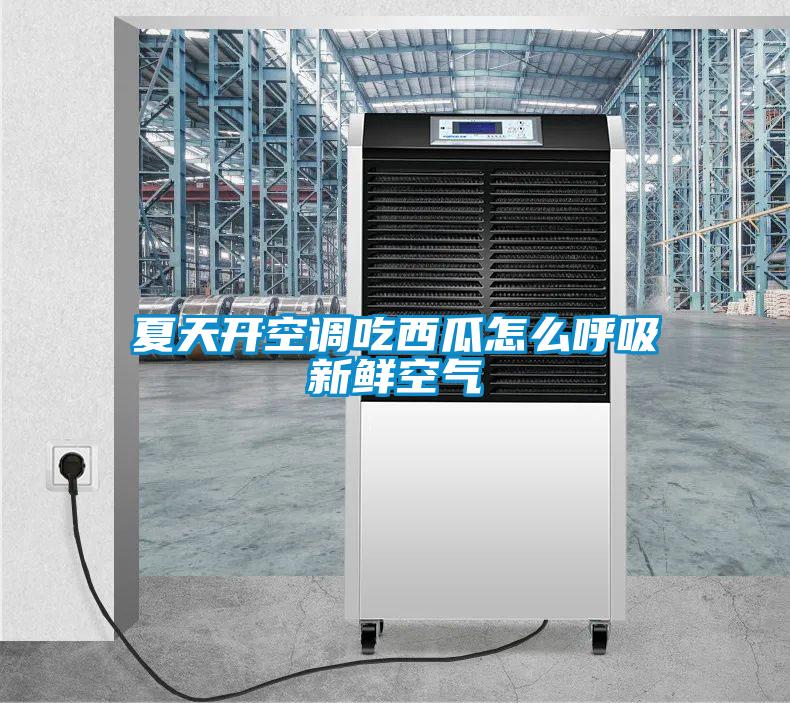 夏天開(kāi)空調(diào)吃西瓜怎么呼吸新鮮空氣