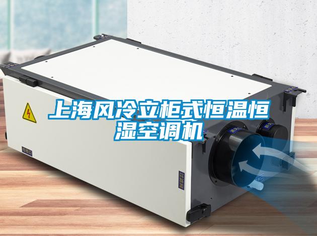 上海風(fēng)冷立柜式恒溫恒濕空調(diào)機