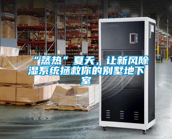 “蒸熱”夏天，讓新風除濕系統拯救你的別墅地下室