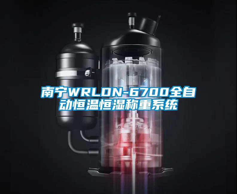 南寧WRLDN-6700全自動(dòng)恒溫恒濕稱(chēng)重系統(tǒng)