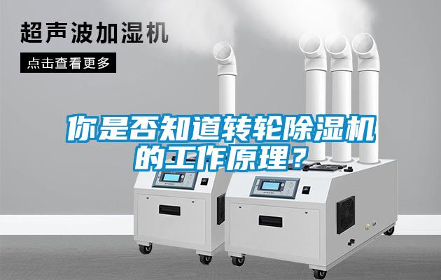 你是否知道轉輪除濕機的工作原理？