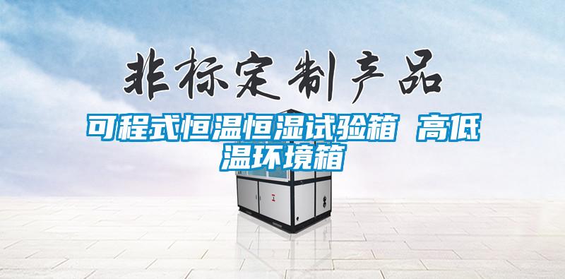 可程式恒溫恒濕試驗箱 高低溫環境箱
