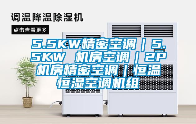 5.5KW精密空調｜5.5KW 機房空調｜2P機房精密空調｜恒溫恒濕空調機組