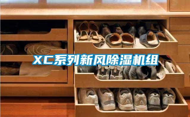 XC系列新風(fēng)除濕機組